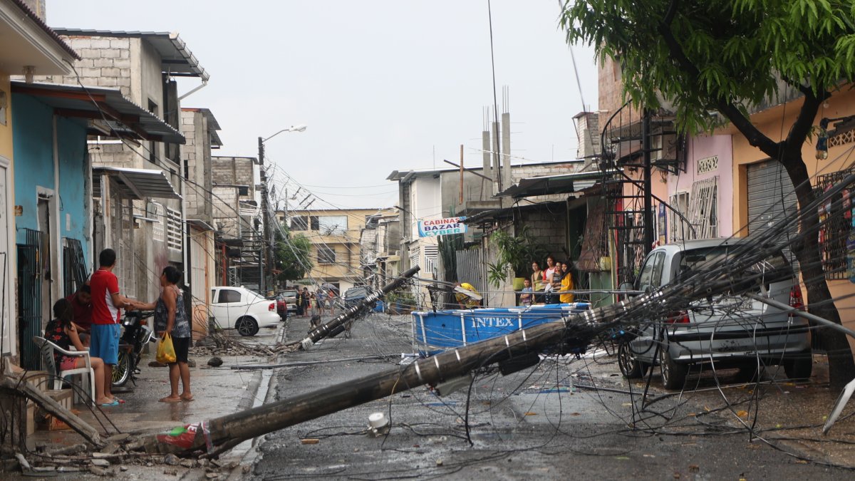Durante el feriado, dos postes de luz se cayeron en la Florida Norte.
