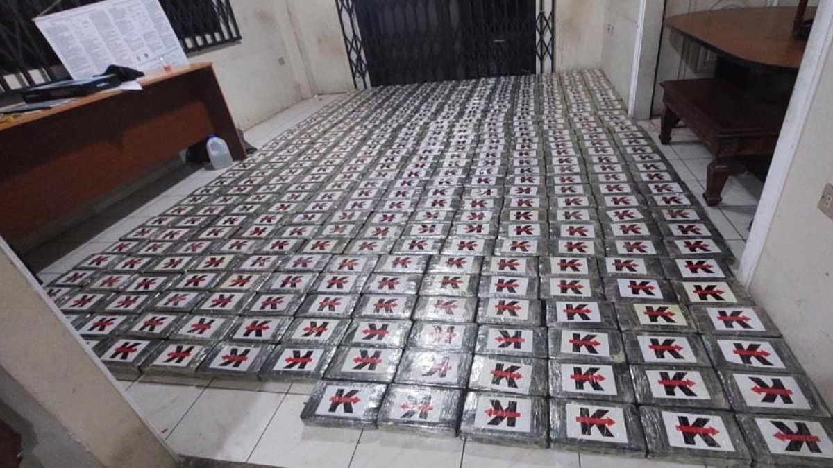 Incautación. Droga hallada en una casa de Santa Lucía.