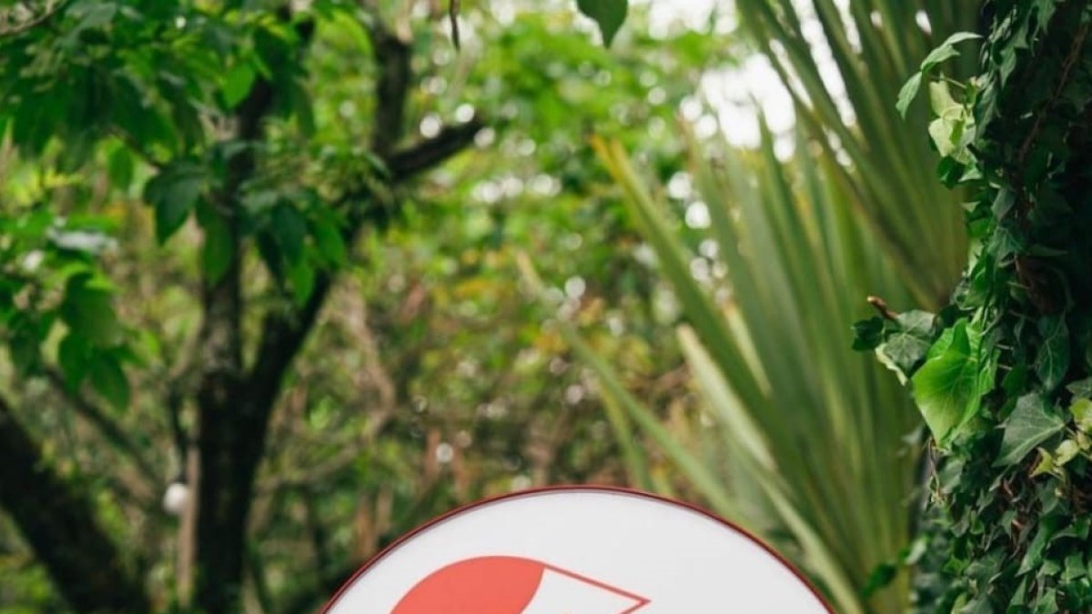 Asalto. Al menos seis sospechosos asaltaron una recién inaugurada pizzería del norte de Quito.