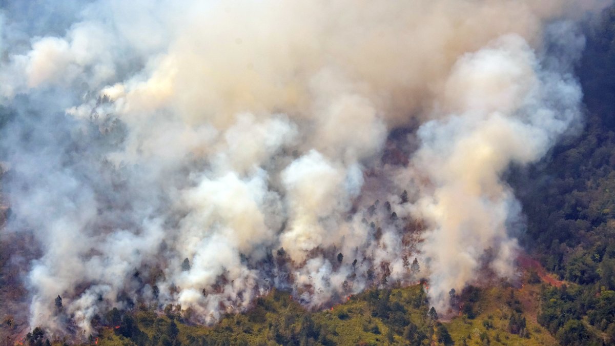 Fotografía aérea que muestra las zonas afectadas por el incendio forestal de grandes proporciones, en el municipio de Mayarí, provincia de Holguín (Cuba),  