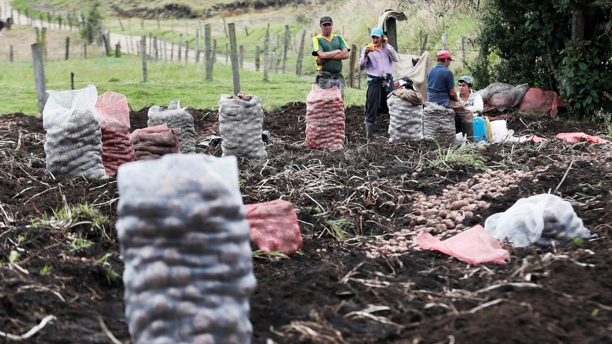 Impacto. Ancash y Piura son dos de los sectores más afectados.