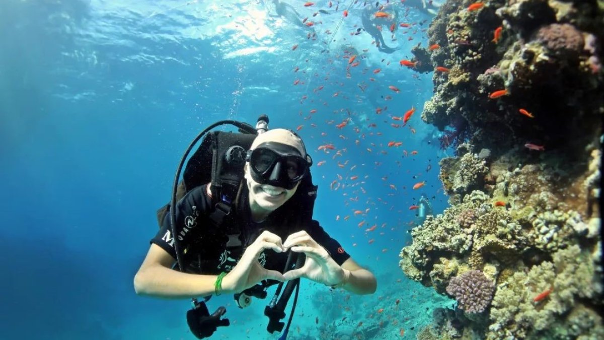 Actividad. Janice comenzó a bucear en su clase de biología marina en el 2017. Le encanta nadar junto a especies marinas, incluso, tiburones.