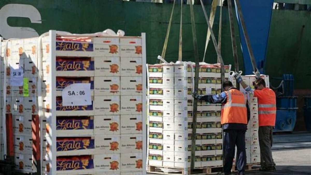 Escaso. Los tomates son los más codiciados y los más ausentes. Solo tres por familia se permite comprar