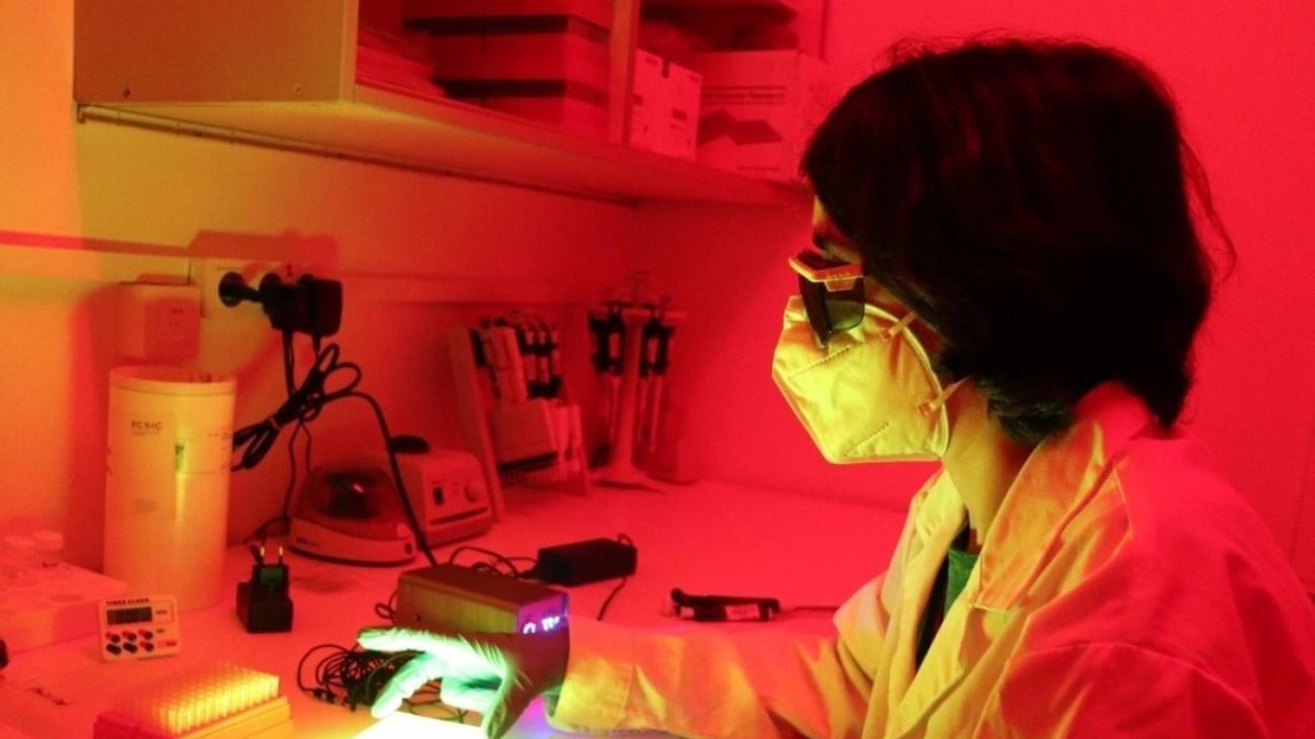 Avance. Laia Josa Culleré, investigadora.