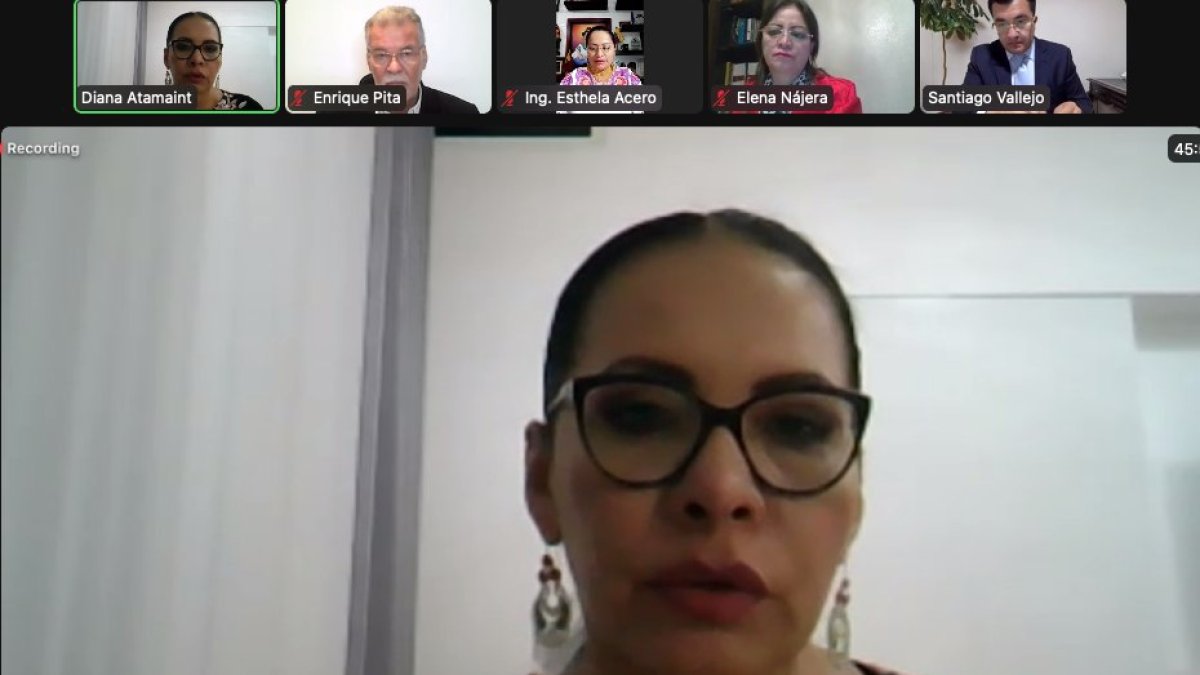 Sesión. Diana Atamaint dirigió la reunión de trabajo, el sábado.