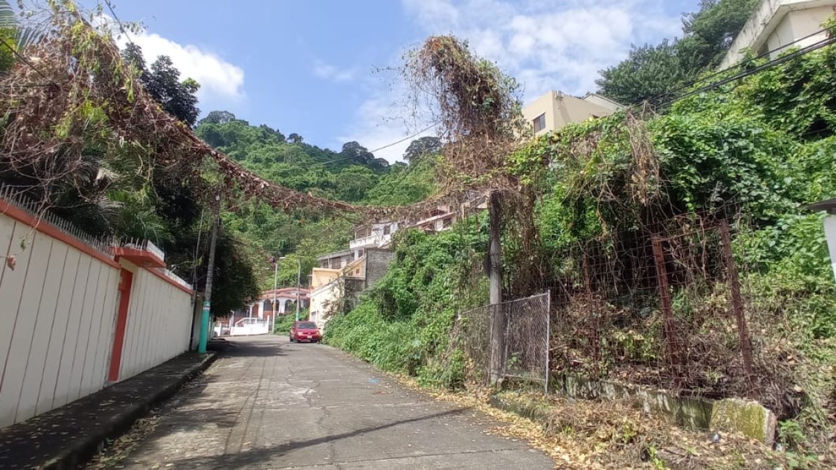 En algunos puntos del vecindario se observa a la maleza creciendo en estructuras ya del entorno.