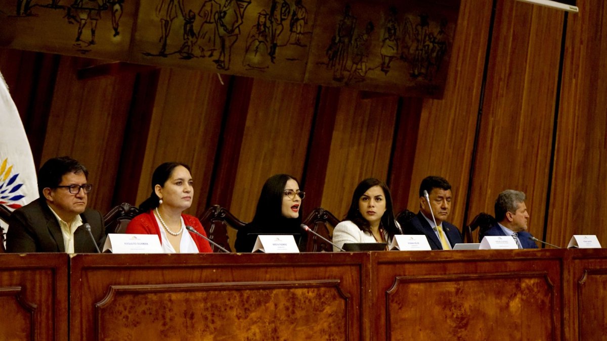 ¿Multipartidista? La comisión está presidida por Viviana Veloz y controlada por el correísmo y sus aliados.