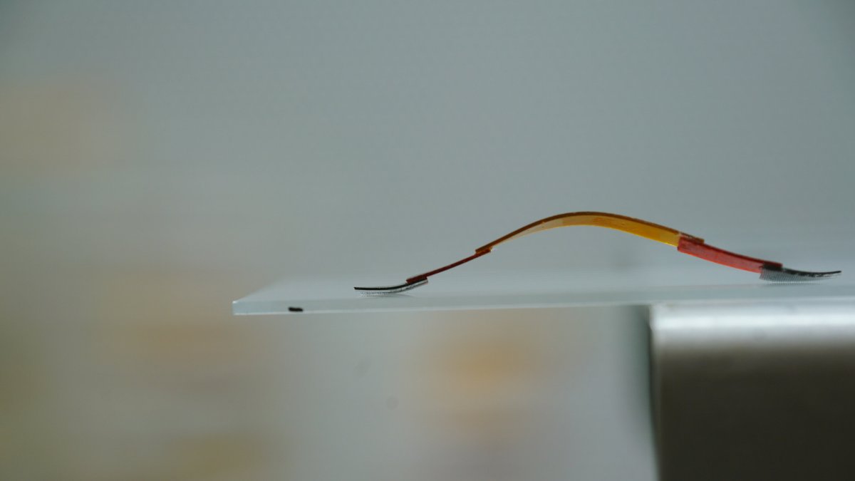 Es el primer robot blando de su clase que no requiere conexión a una fuente de alimentación externa.