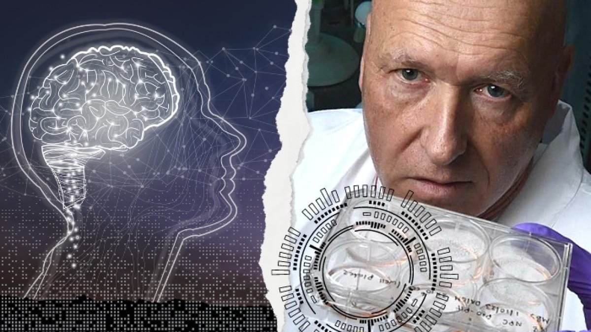 Thomas Hartung aparece mostrando organoides de cerebro en su laboratorio de la universidad Johns Hopkins (EE. UU.).