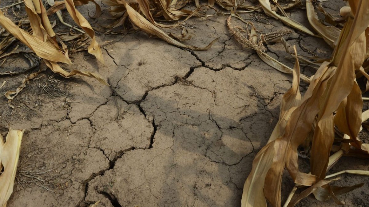 Más del 59 % del territorio de Argentina sufre de sequía.