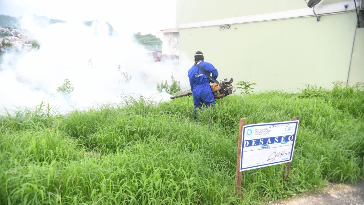 Efecto. En los solares se colocaron los sellos de desaseo.