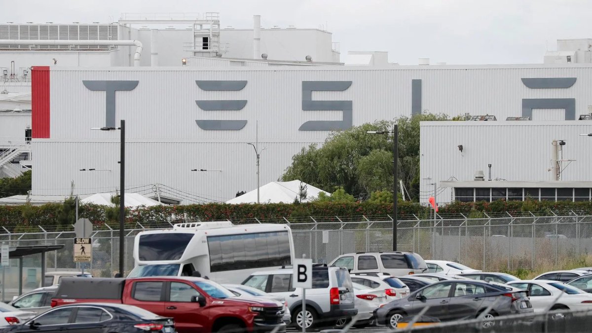 Ecologistas desconocen del impacto real de la nueva planta de Tesla