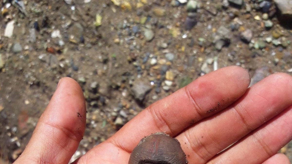 Una pequeña figura encontrada en Valdivia