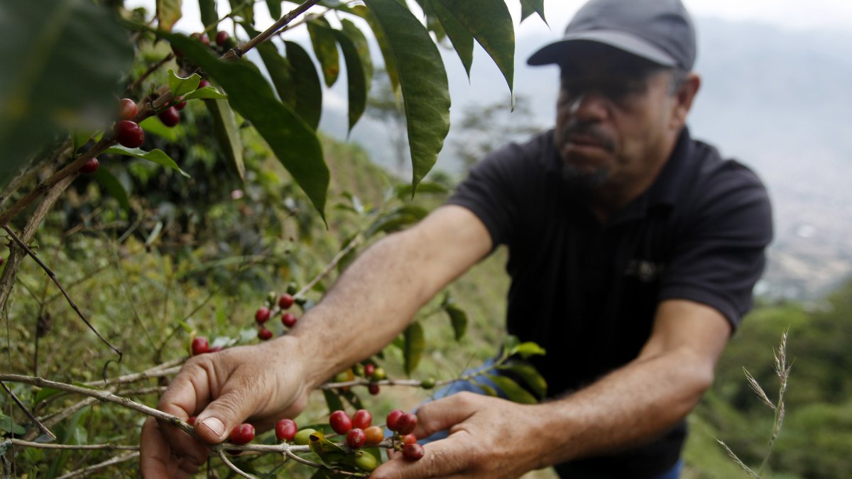 Walter Enrique Patiño, propietario de la finca 