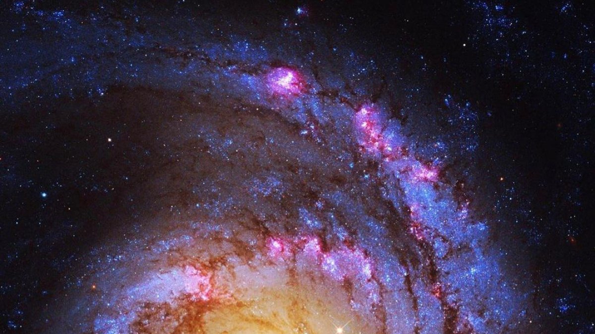 Los investigadores pudieron medir una supernova de tipo 1a -la explosión de una estrella enana blanca de carbono-oxígeno.