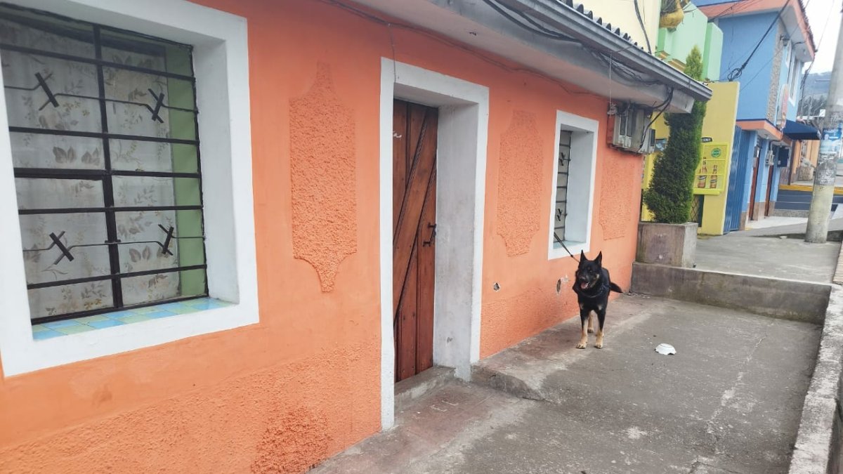 Condiciones en que Bienestar Animal encontró al perro.