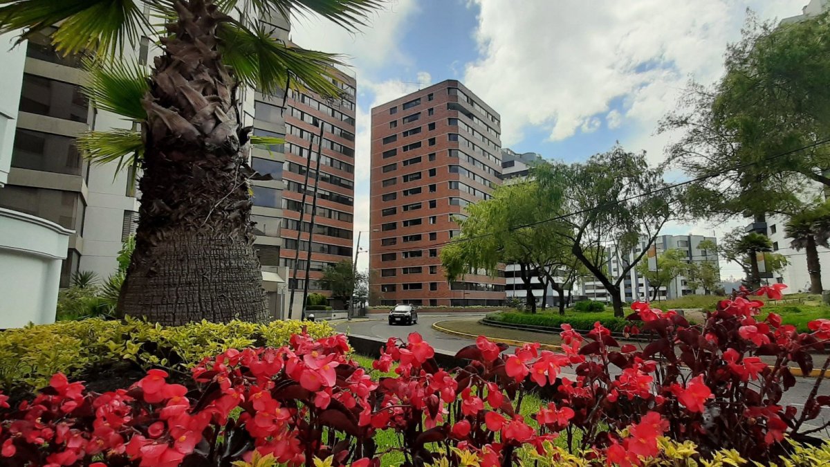 Antiguos. Existen edificios de hace años, algunos remodelados y también construcciones más modernas. Los rótulos de venta o arriendo están en muchos de los departamentos.