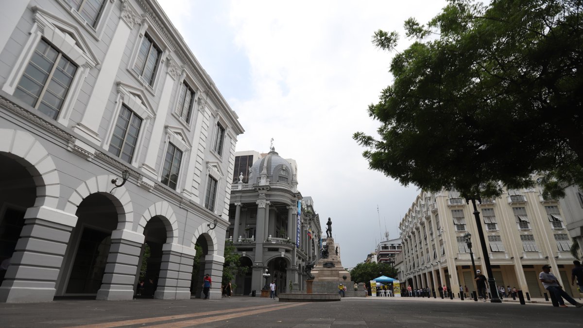 Casco. Los edificios del Municipio, la Gobernación del Guayas, en el centro, son algunos de los inmuebles patrimoniales con que cuenta la ciudad.