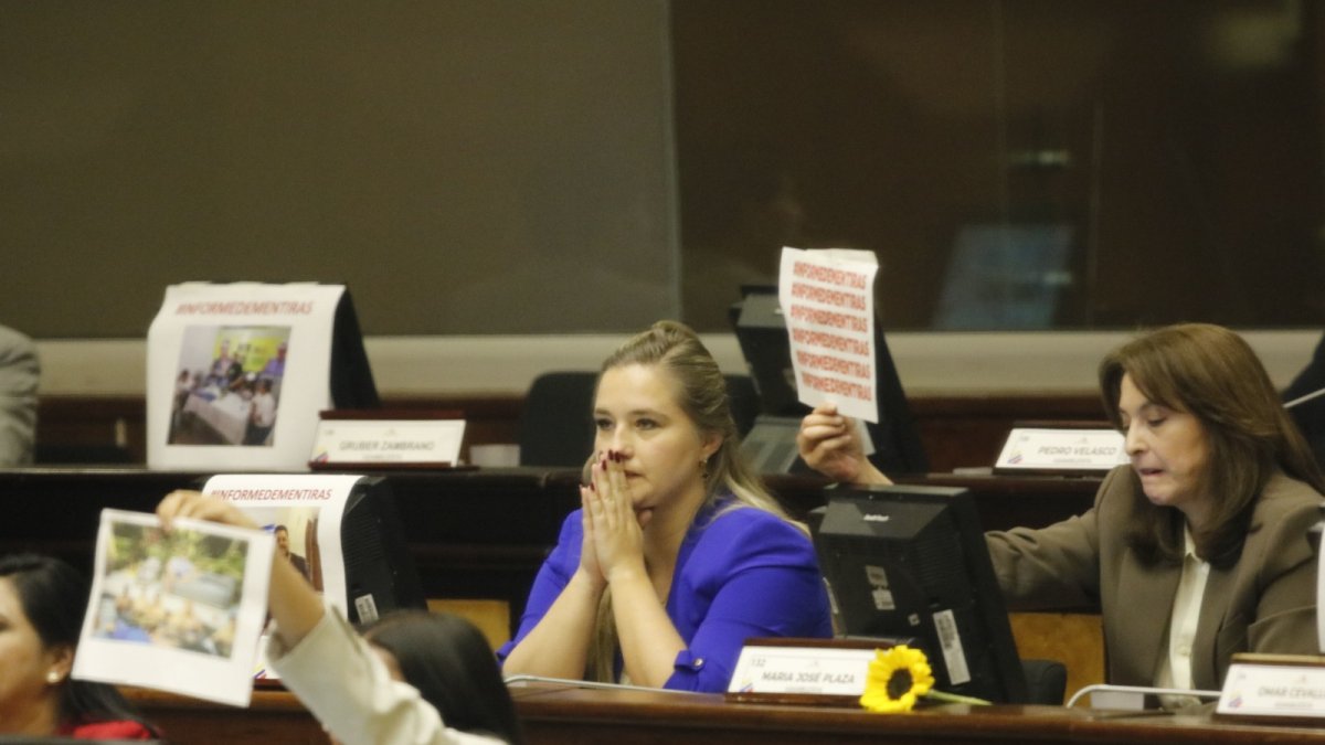 Votación. El oficialismo calificó al informe como sesgado y dice que varios elementos fueron omitidos.