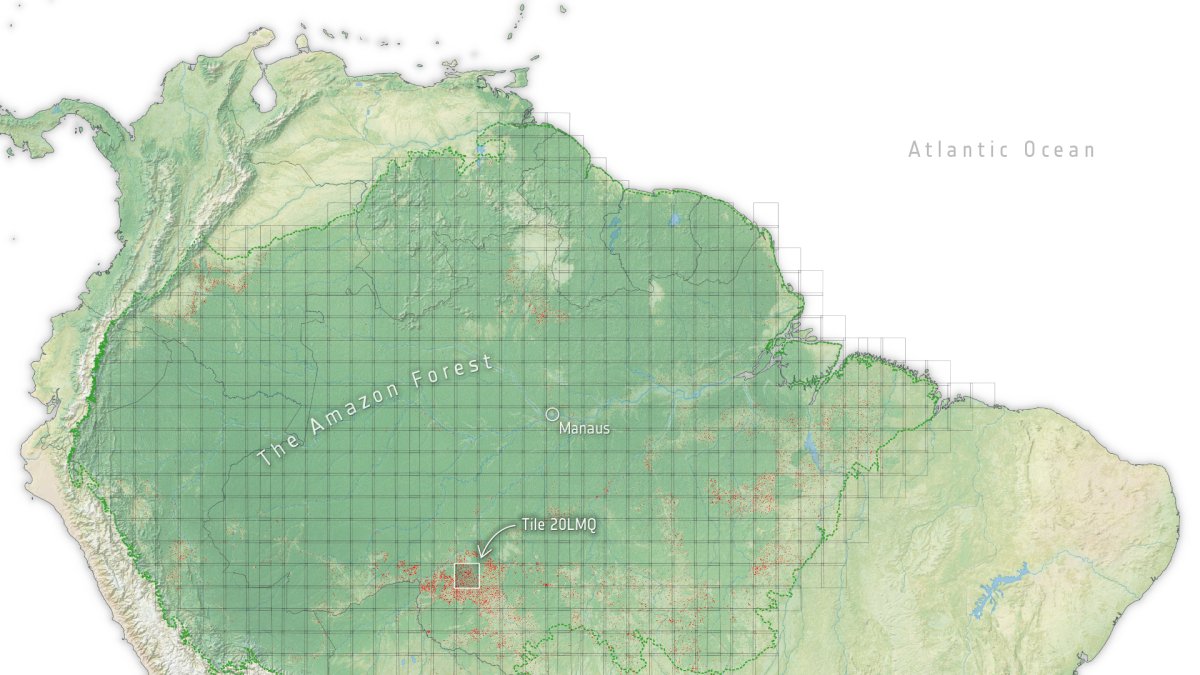 Mapa de la Amazonía en el que se aprecia en rojo la pérdida de bosques observada.