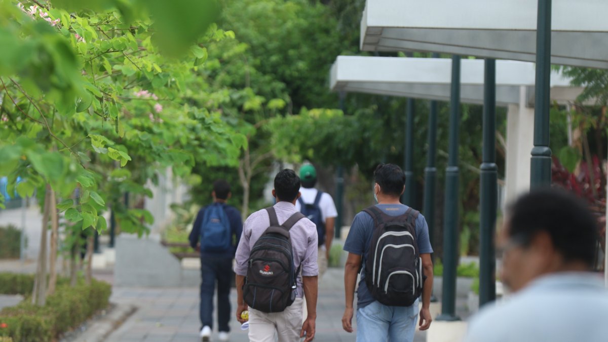 Los jóvenes universitarios deberán tener entre 18 a 28 años.