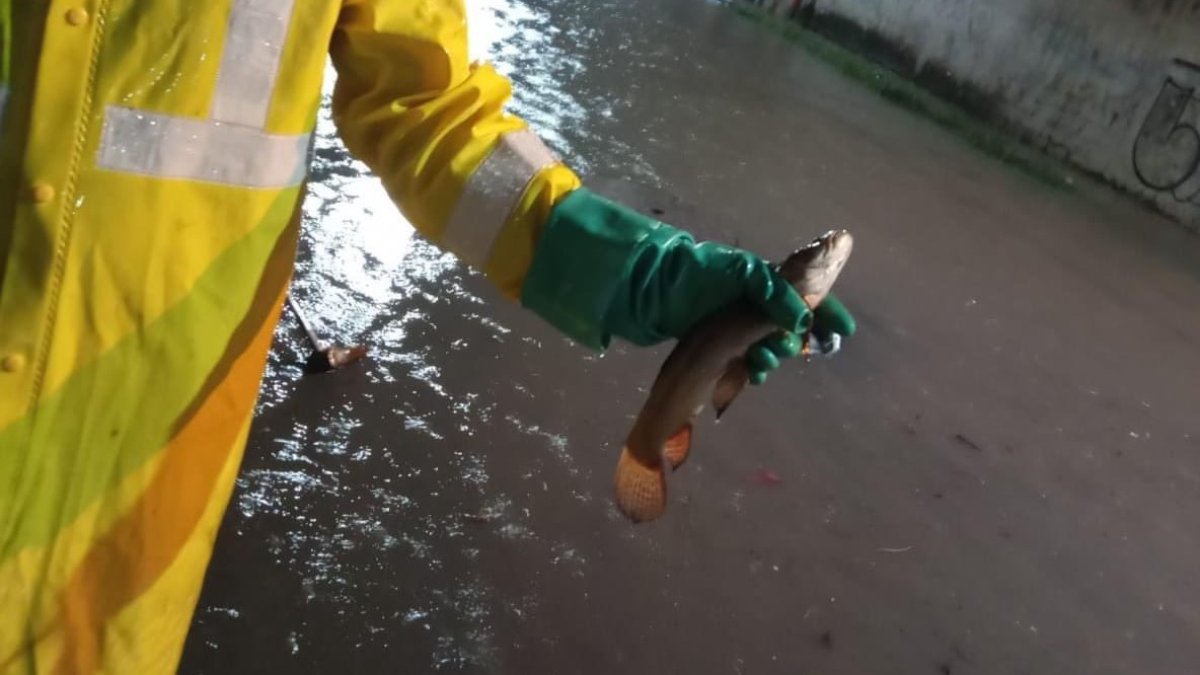 Interaguas informó sobre el hallazgo de uno de sus operarios.