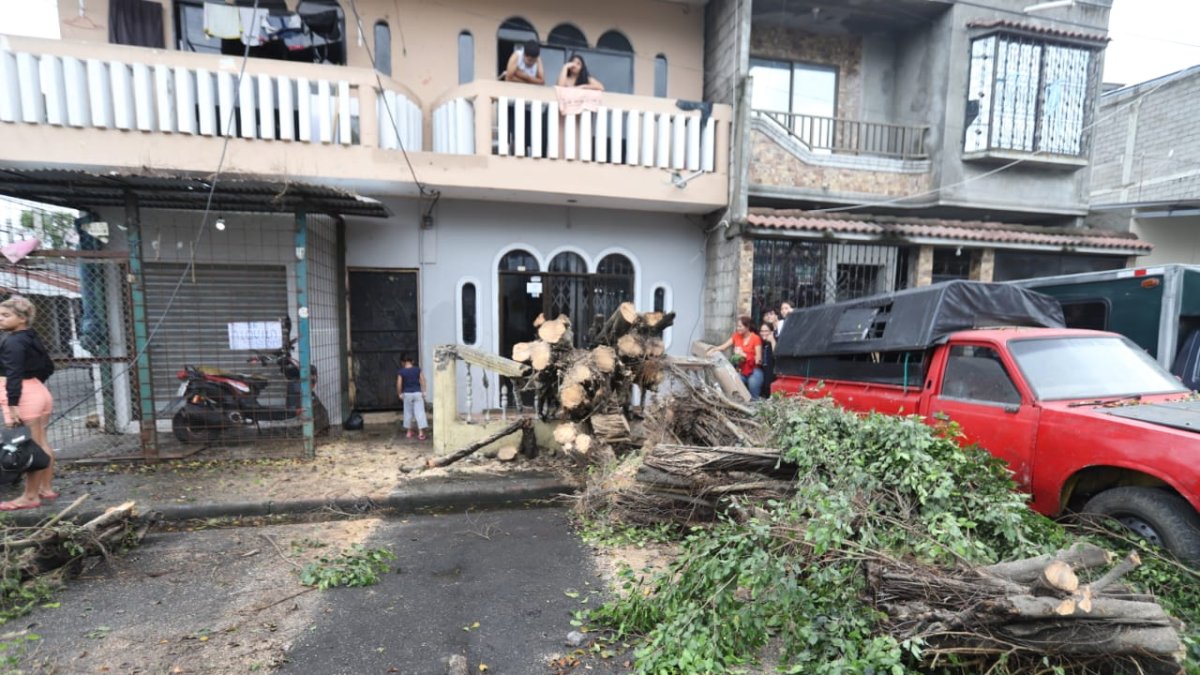 Agente técnicos se acercaron al lugar para retirar el tronco caído