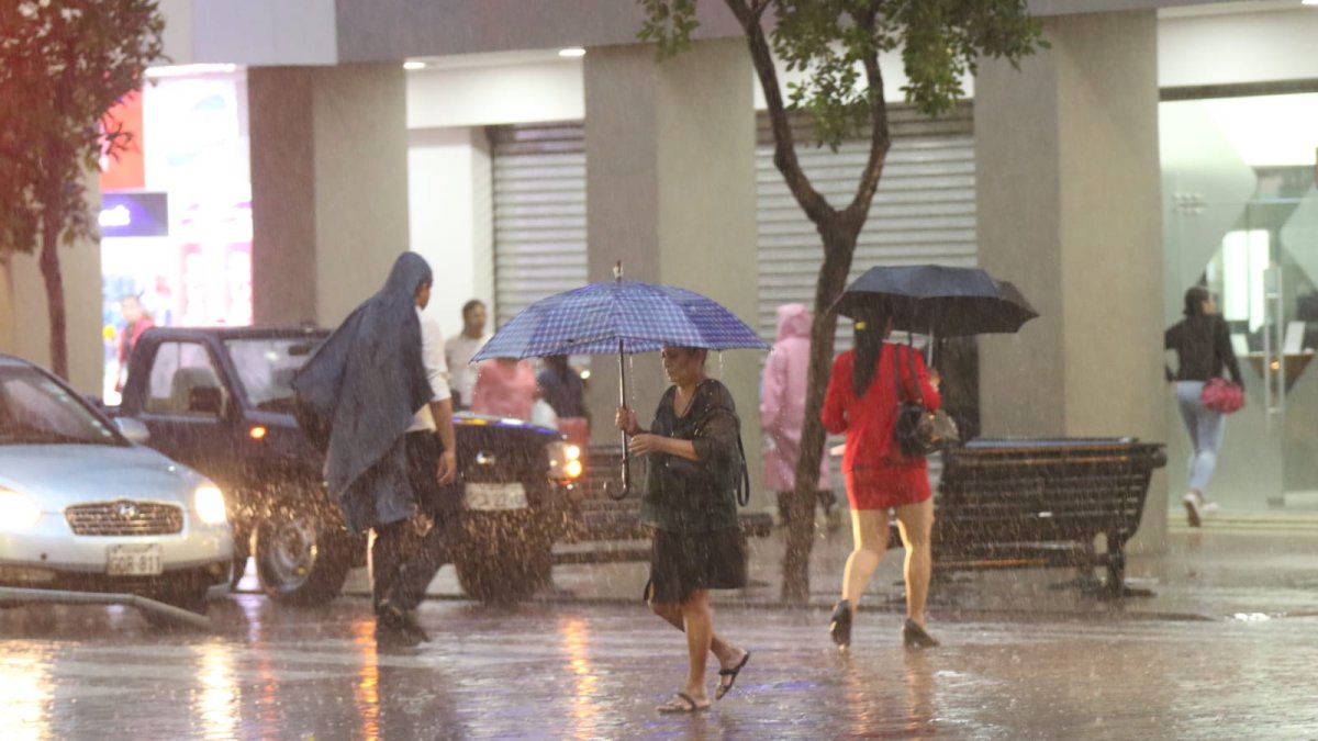 Reporte. Organismos de socorro reportaron sectores anegados, arboles caídos y personas heridas.