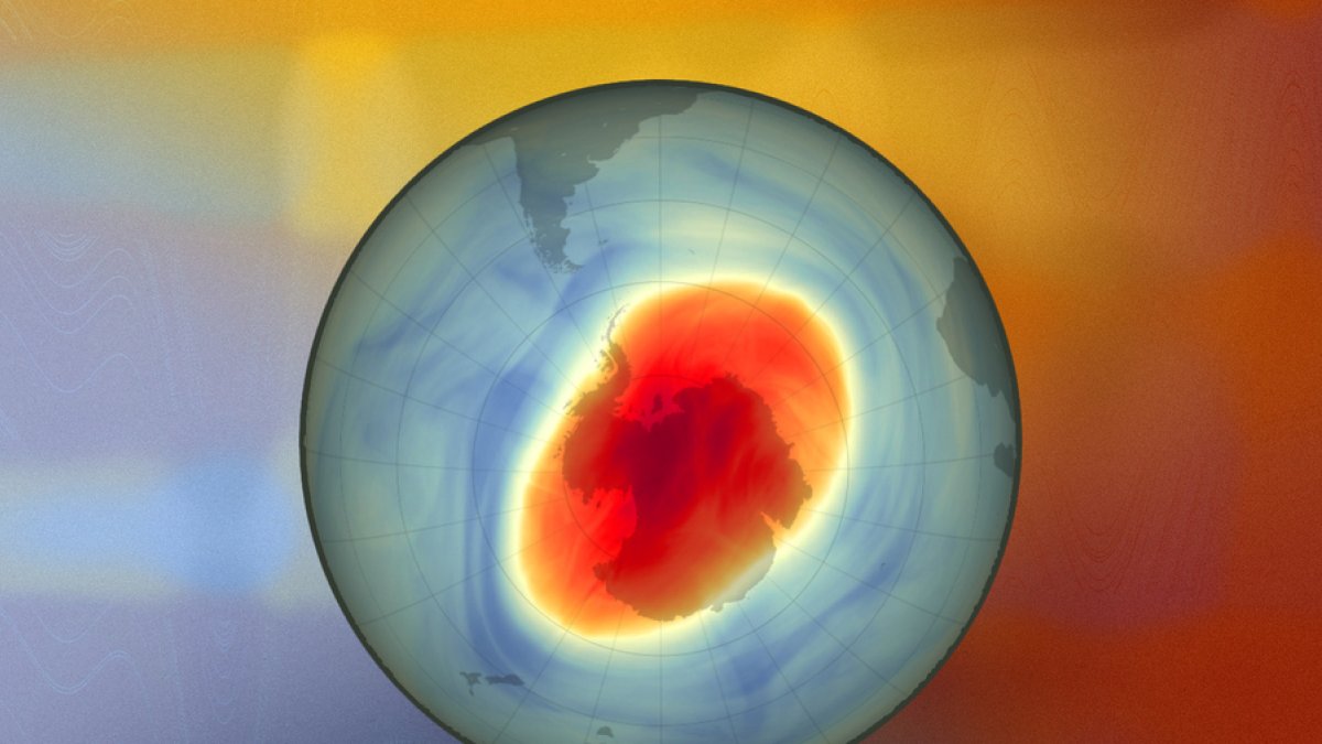Las partículas de humo de los incendios forestales australianos ampliaron el agujero de ozono en un 10% en 2020.