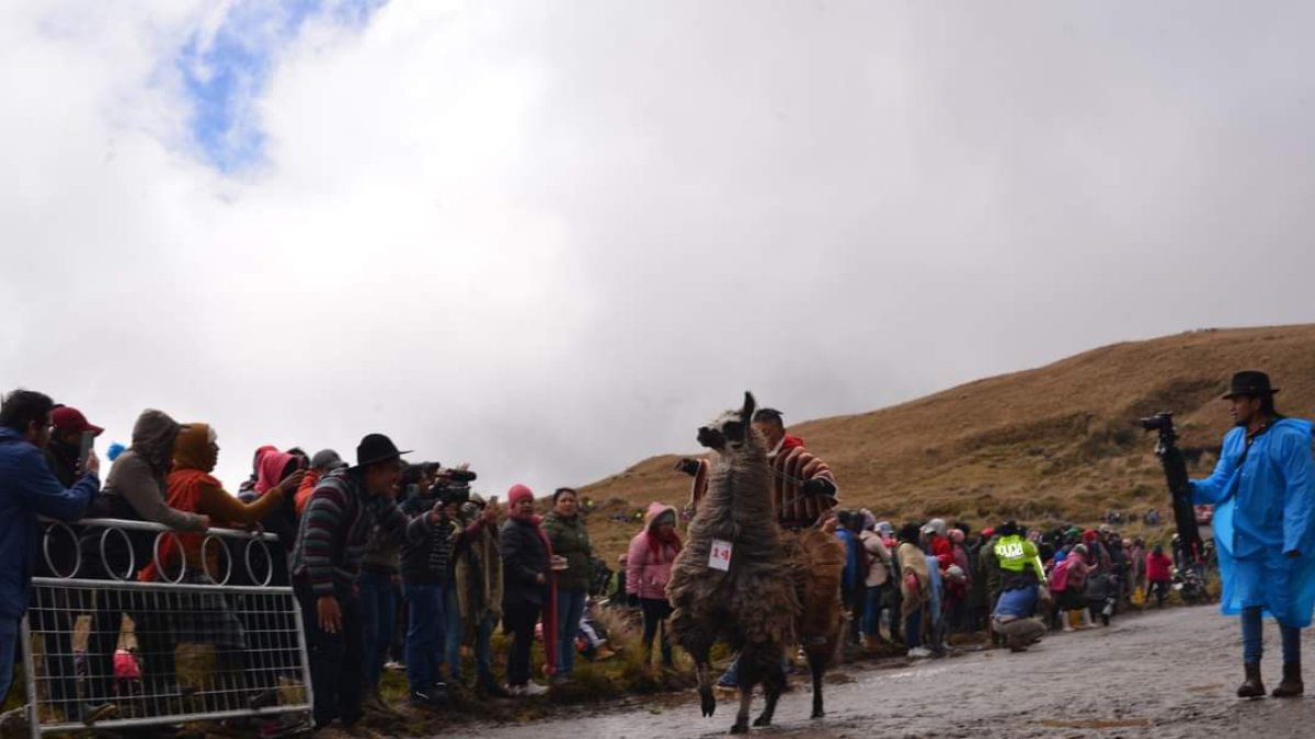 La competencia. La ‘llamingada’ es una carrera que impulsa el cuidado de los humedales en los páramos.
