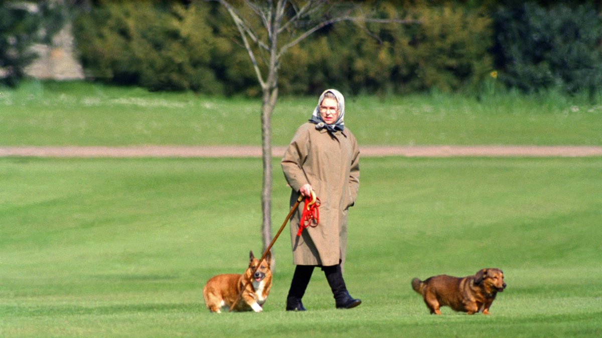 La Reina Isabel II que pasea a sus perros en el Castillo de Windsor, tomada el 2 de abril de 1994.