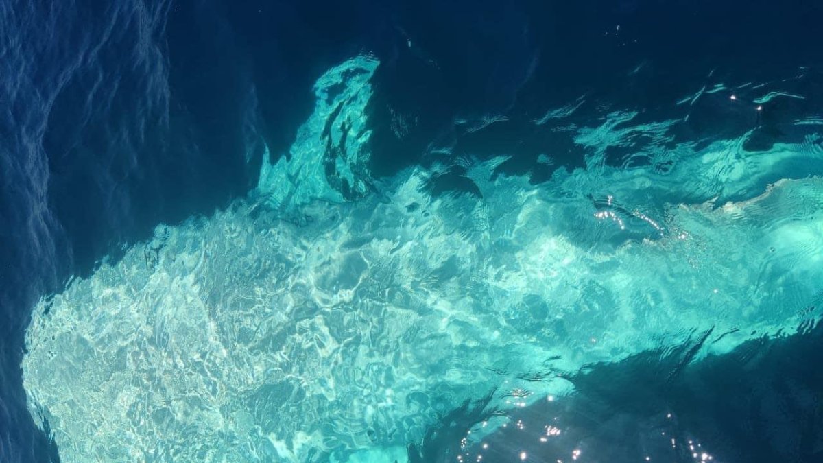 Fotos tomadas tomadas por la tripulación de la embarcación Vértigo II.