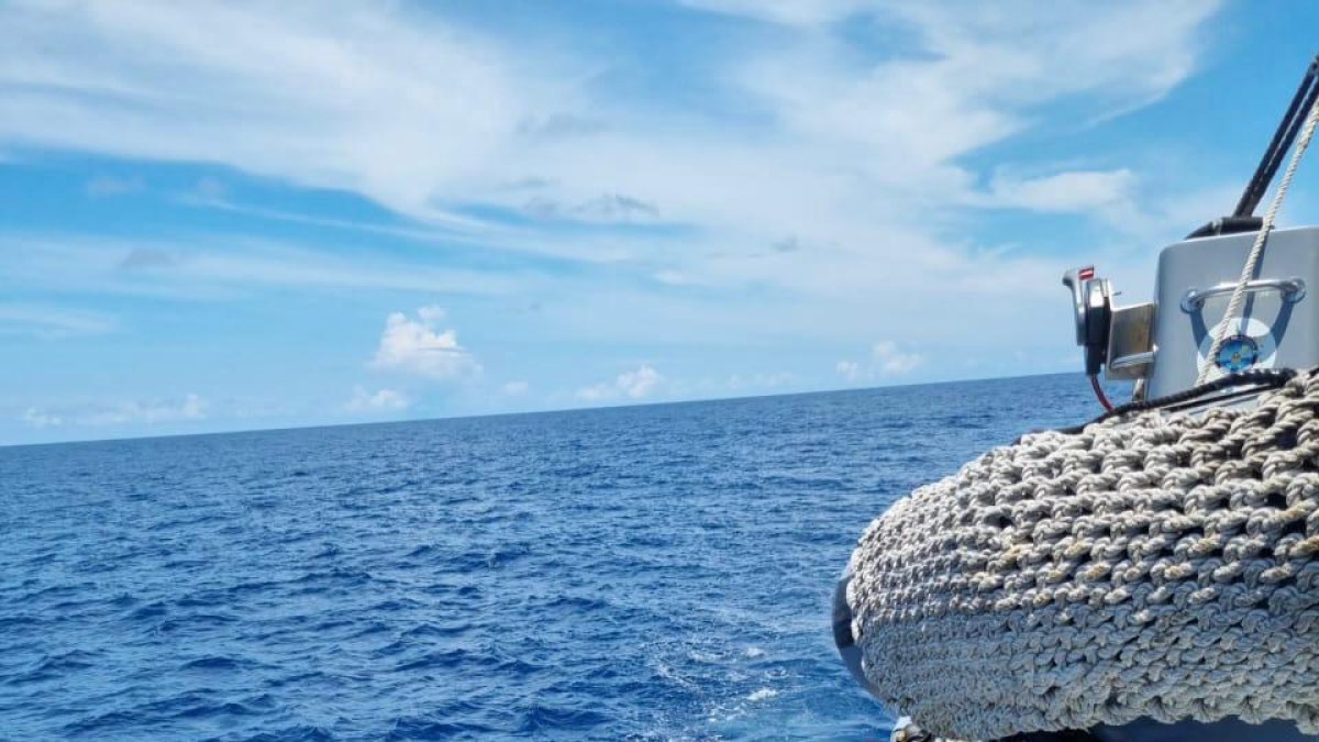 El personal de la Armada y Policía Nacional en las intervención de la embarcación.