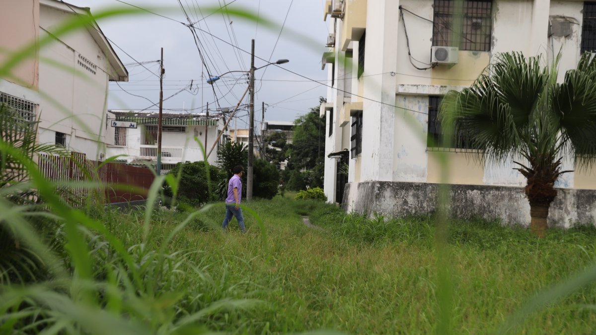 Situación. El monte ha tapado casi todo el parque del sector.3