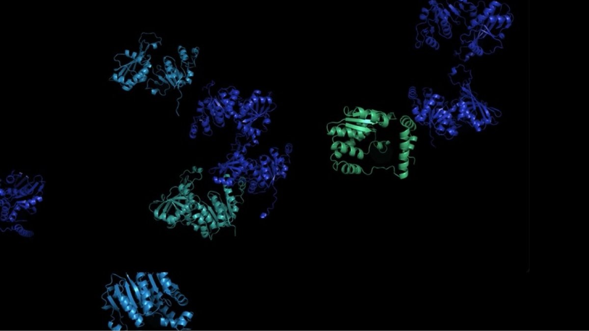 ESMFold, el sistema de IA desarrollado por Meta, ha logrado predecir la estructura de más de 740 millones de estas moléculas.