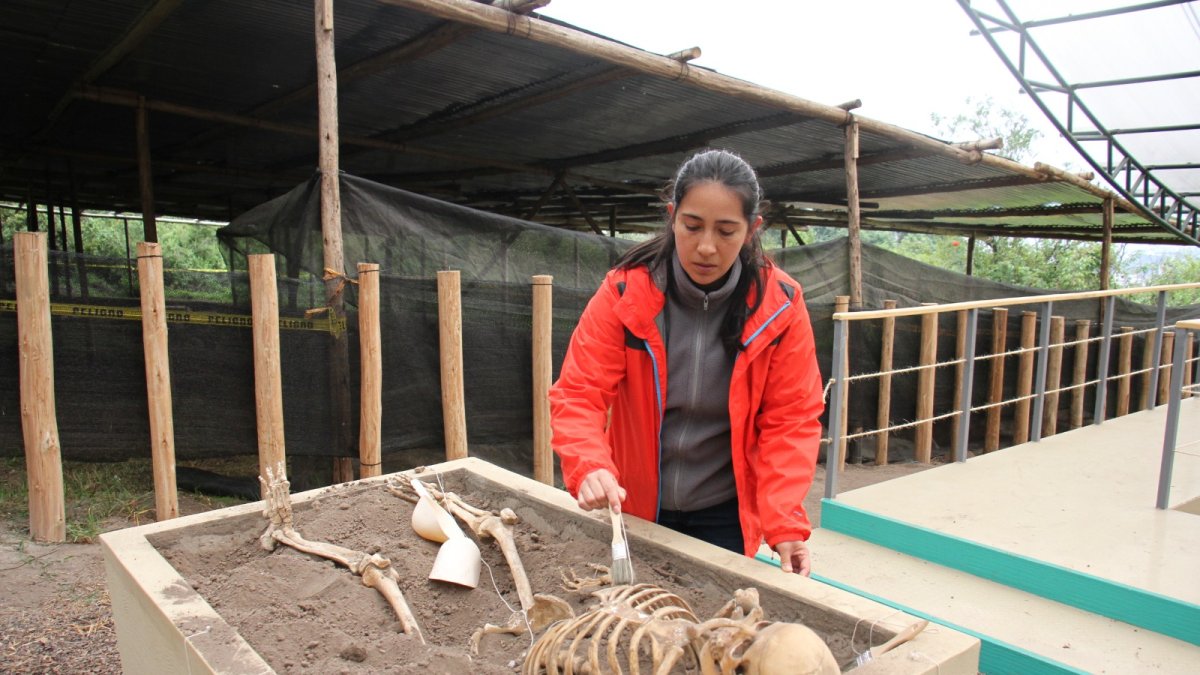 Actividad. En la Unidad 6, los niños pueden excavar para hallar esqueletos y réplicas de artefactos usando técnicas arqueológicas.