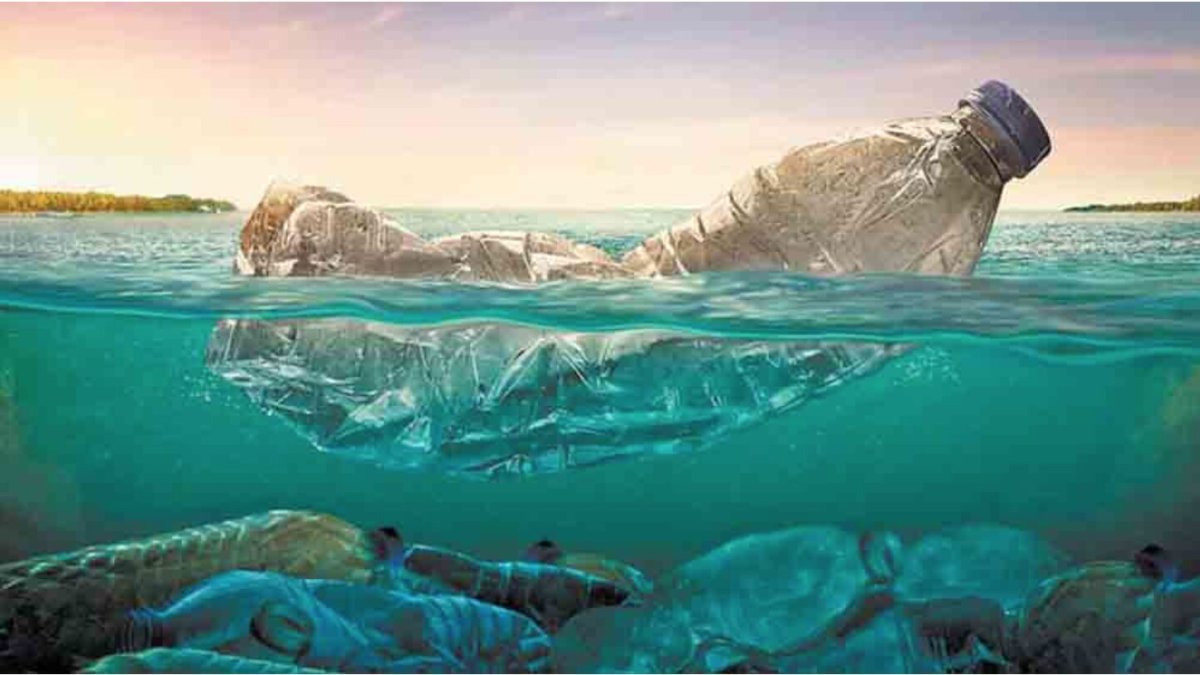 Una botella de plástico PET necesita 1.000 años para degradarse.