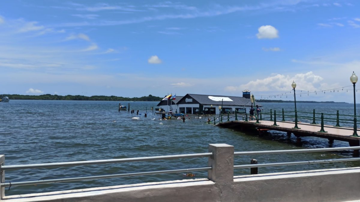 Imagen de la estructura colapsada.