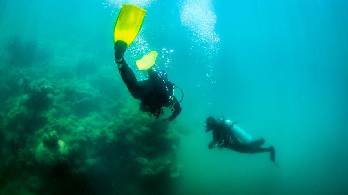 Superficie. Los arrecifes de coral, propios de aguas tropicales, tardan miles de años en crecer.
