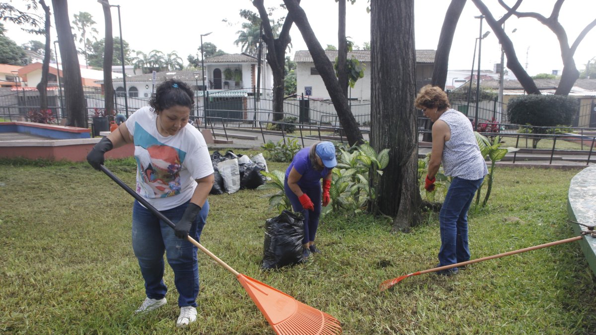 Un grupo de vecinos y socios del Comité Los Ceibos decidió limpiar el parque con sus propias recursos
