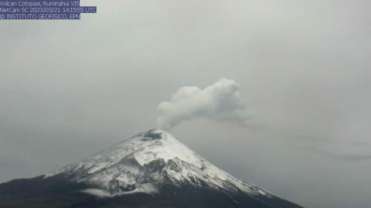 Esta mañana el Instituto Geofísico capturó al Volcán Cotopaxi emitiendo una nueva columna de gases.