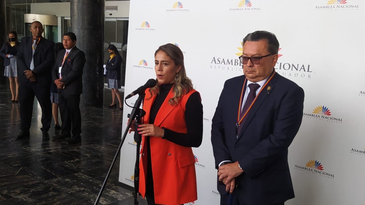 Los dos legisladores de Pachakutik no descartan volver a proponer juicios políticos contra los funcionarios, pero de forma individualizada.