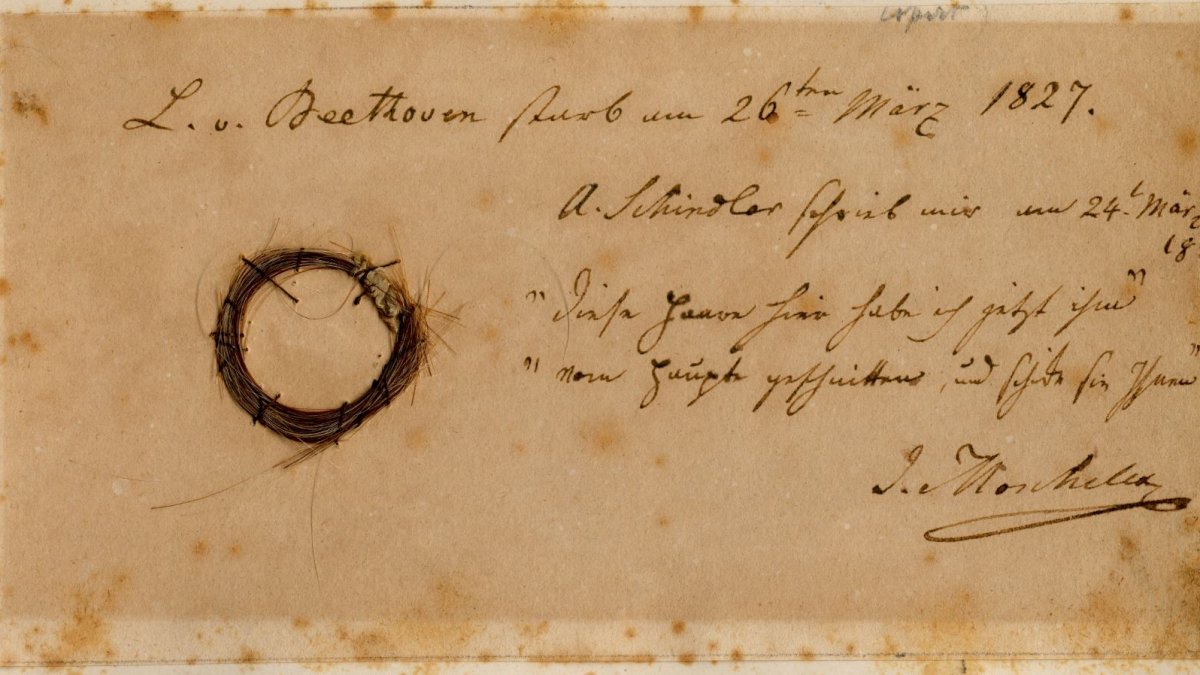 Fotografía del mechón de cabello de Beethoven, autentificado por el estudio, facilitada por Ira F. Brilliant Center for Beethoven Studies, San Jose State University.
