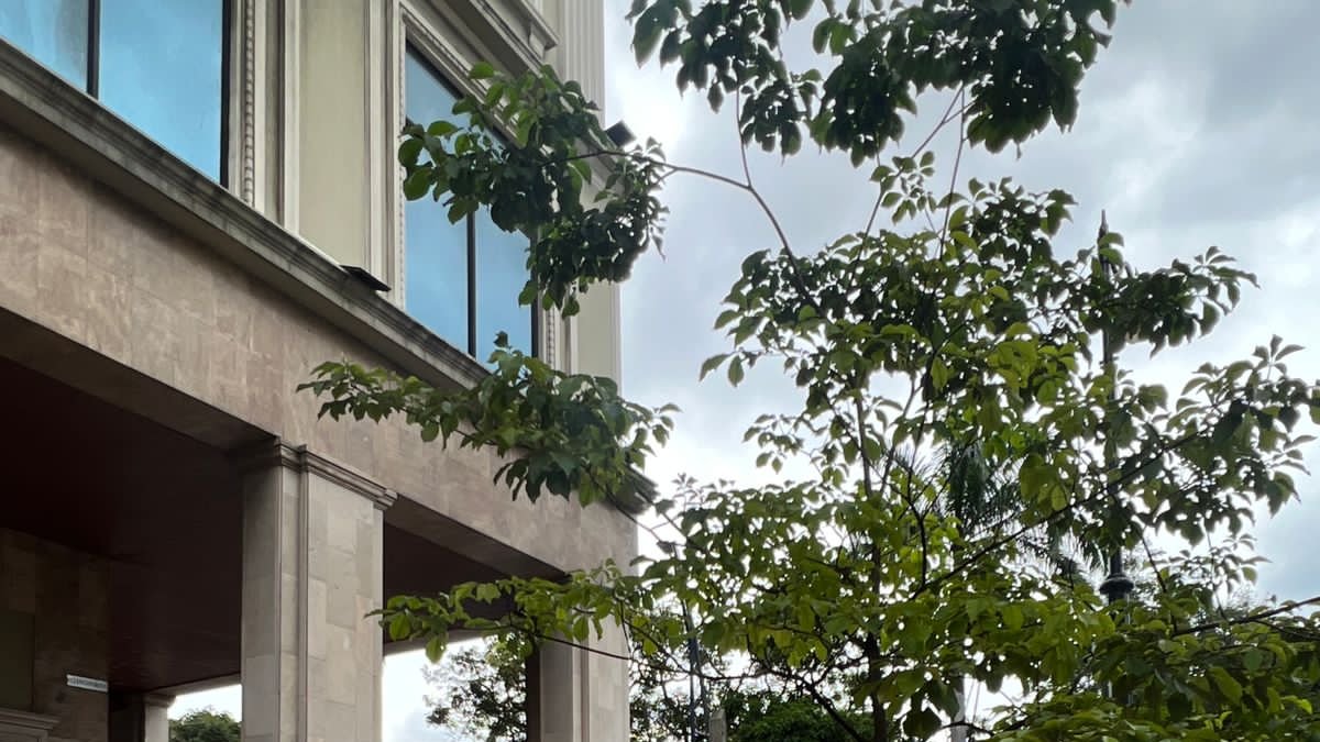 El sitio se encuentra acordonado por seguridad de los peatones