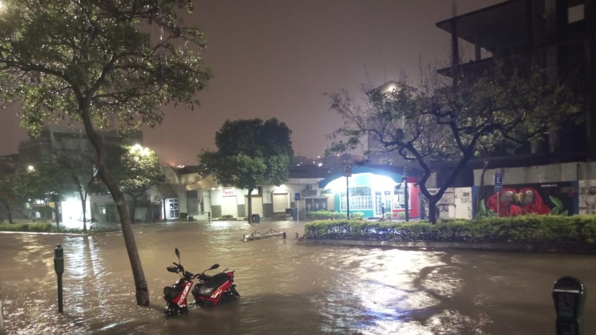 Así luce Urdesa. Completamente inundada.