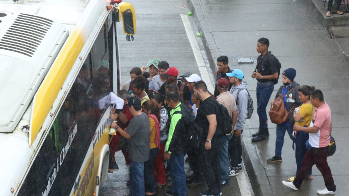 Los expresos escolares suplen el servicio de transporte público, debido al paro de choferes.