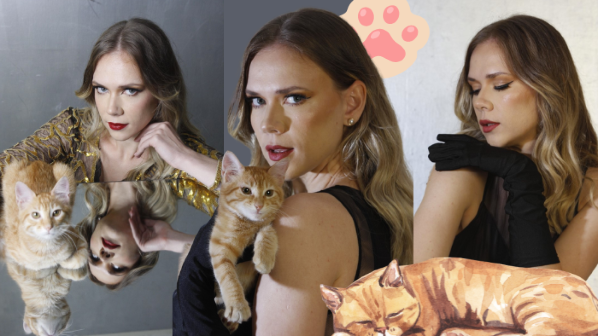 Cree su propia mirada felina como la de El Colorado.