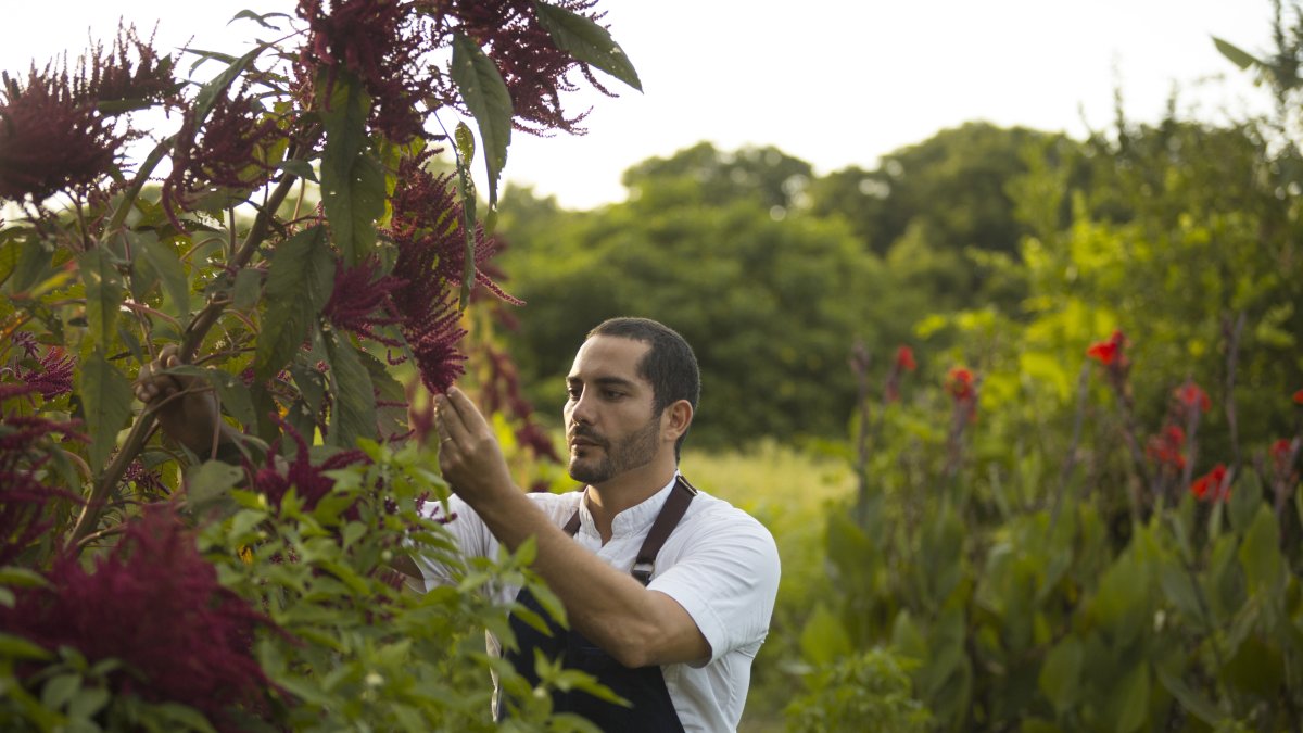 De la cocina al streaming.
