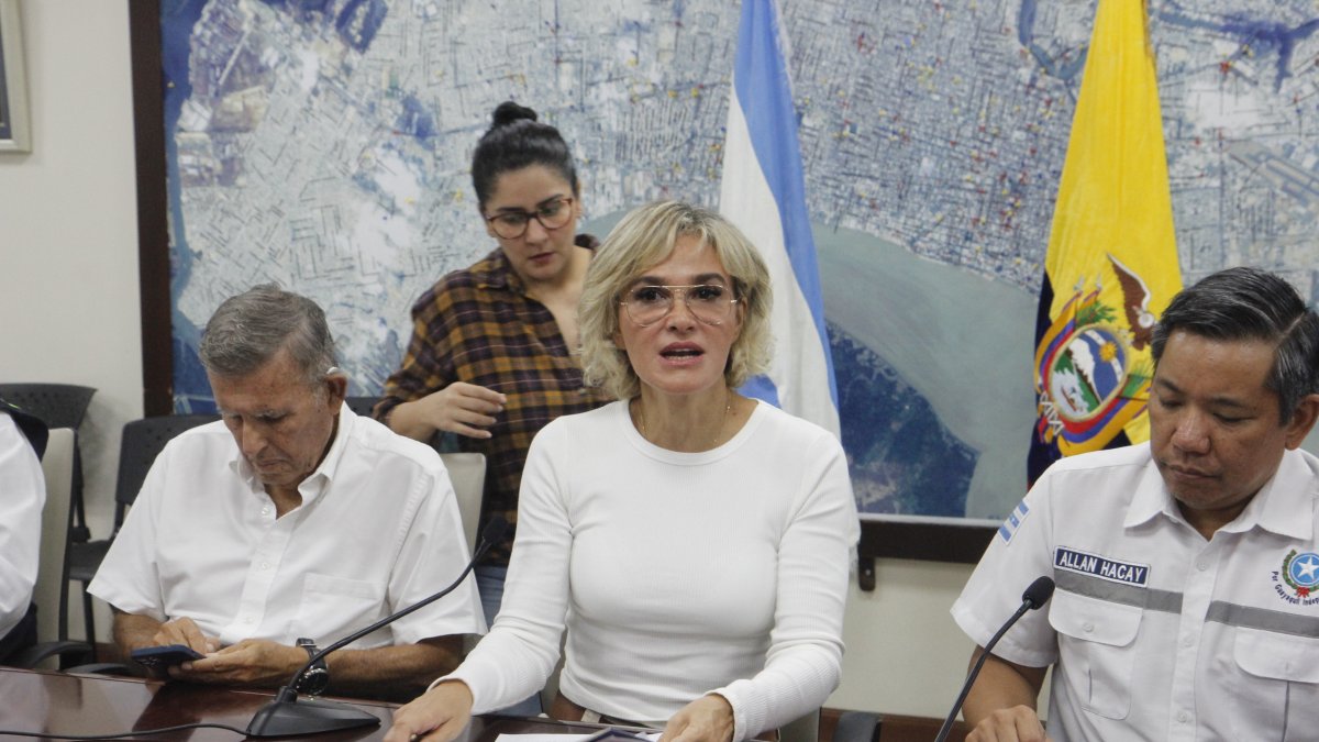 Referencia. La liquidación presupuestaria también incluye los indicadores de gestión.