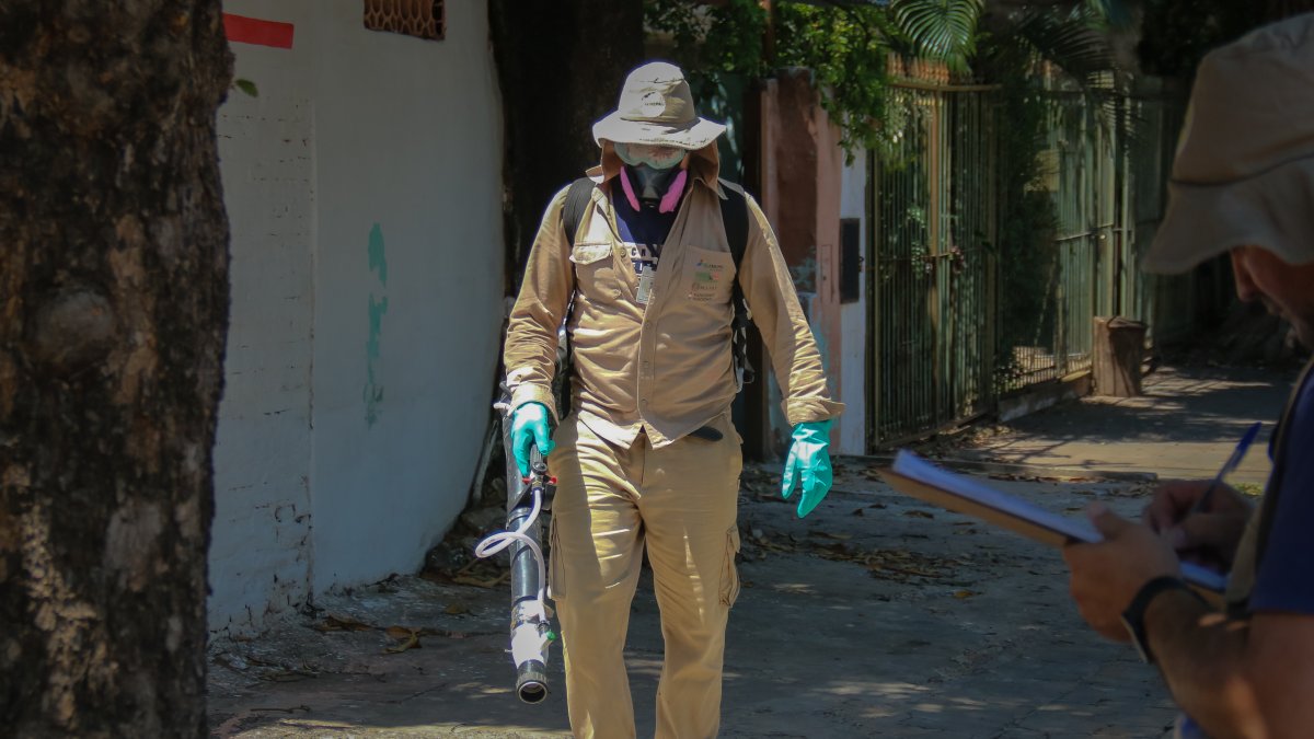 Fotografía de archivo, tomada el pasado 8 de febrero, en la que se registró a un brigadista del Servicio Nacional de Erradicación del Paludismo , en Asunción (Paraguay).